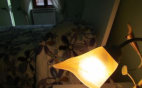 Il Gheppio